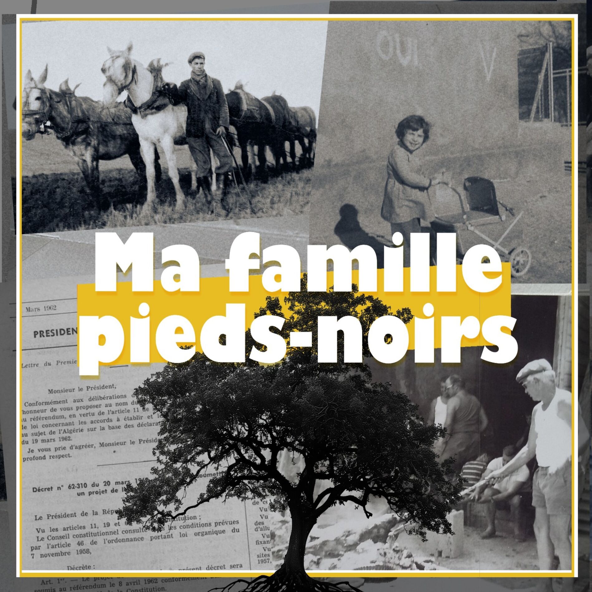 Show cover of Ma famille pieds-noirs
