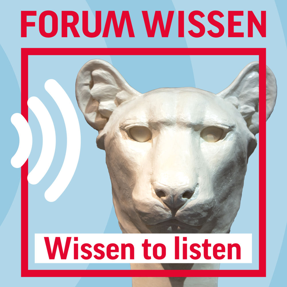 knstliche spinnen Knstlicher Kder spinnen HIVO -Schwebe  SportIT