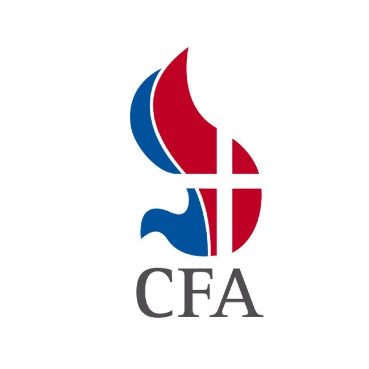 Show cover of IglesiaCFA