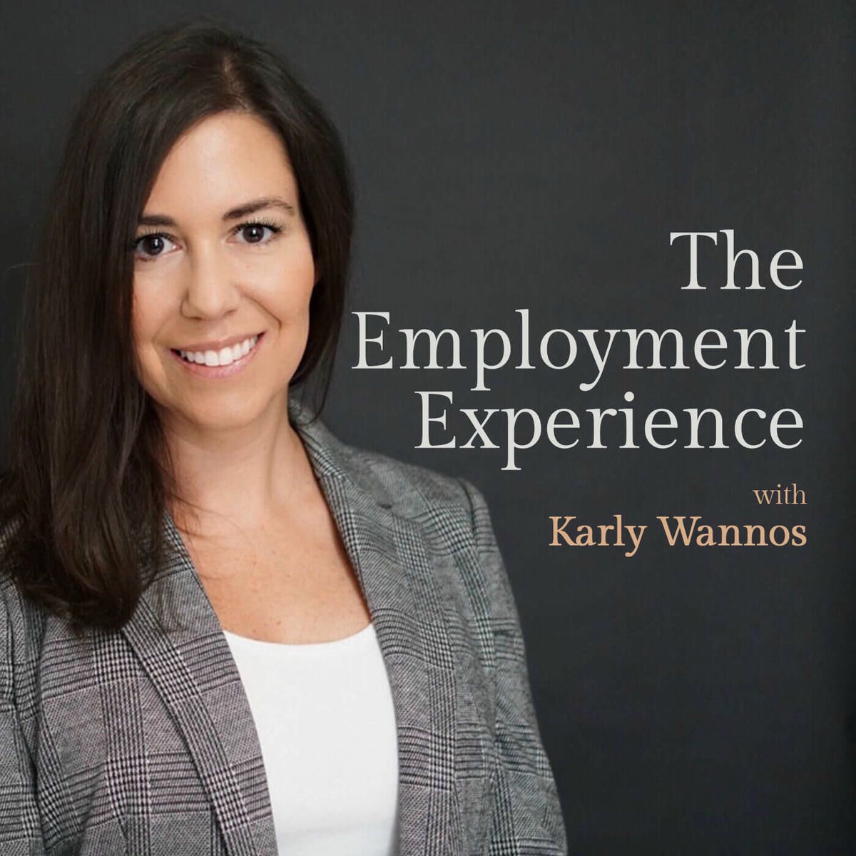 Show cover of The Employment Experience - an employment law educational tool for business owners and Human Resources professionals