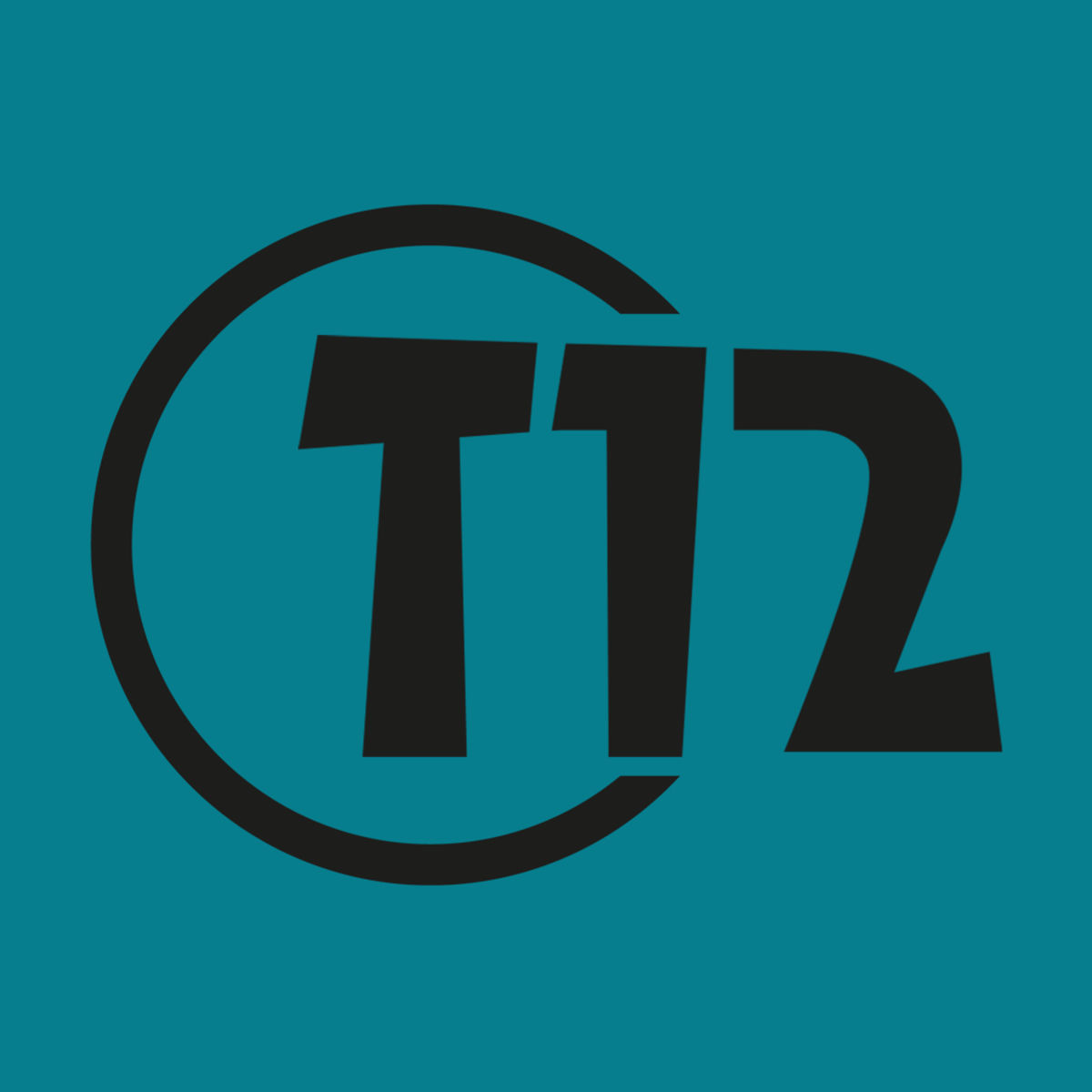 Show cover of T12 Tanház