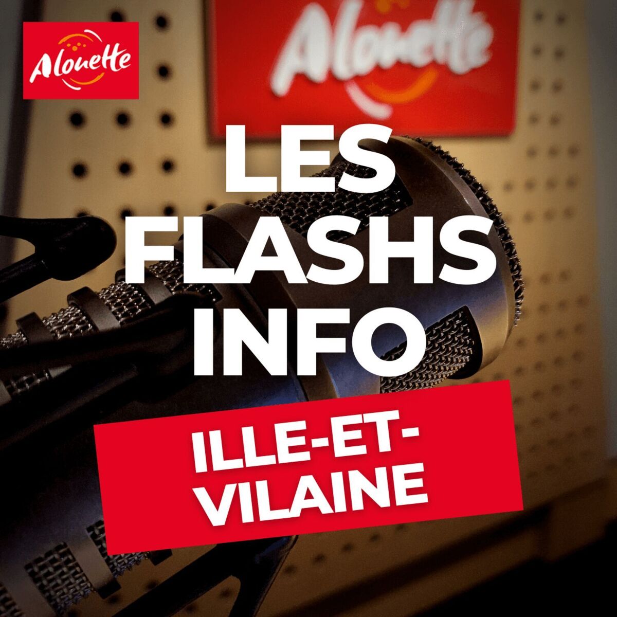 Show cover of Les Infos en Ille-et-Vilaine.