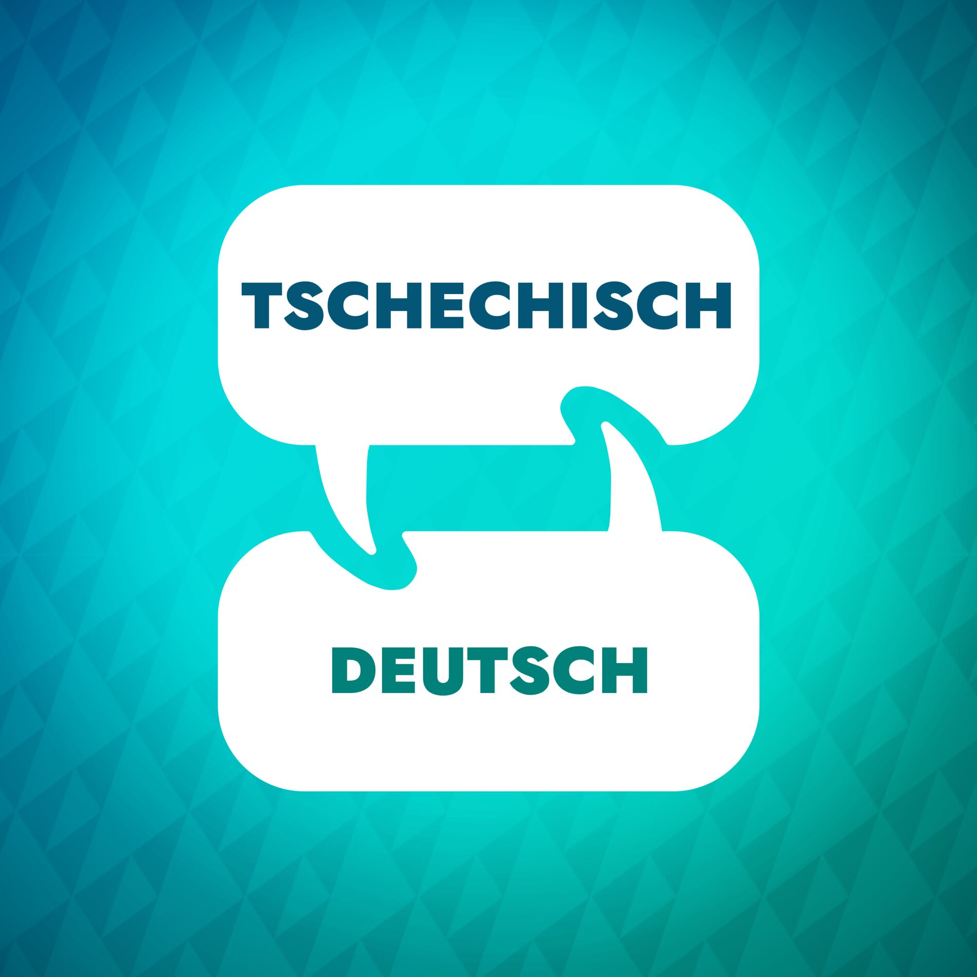Show cover of Tschechischer Lernbeschleuniger