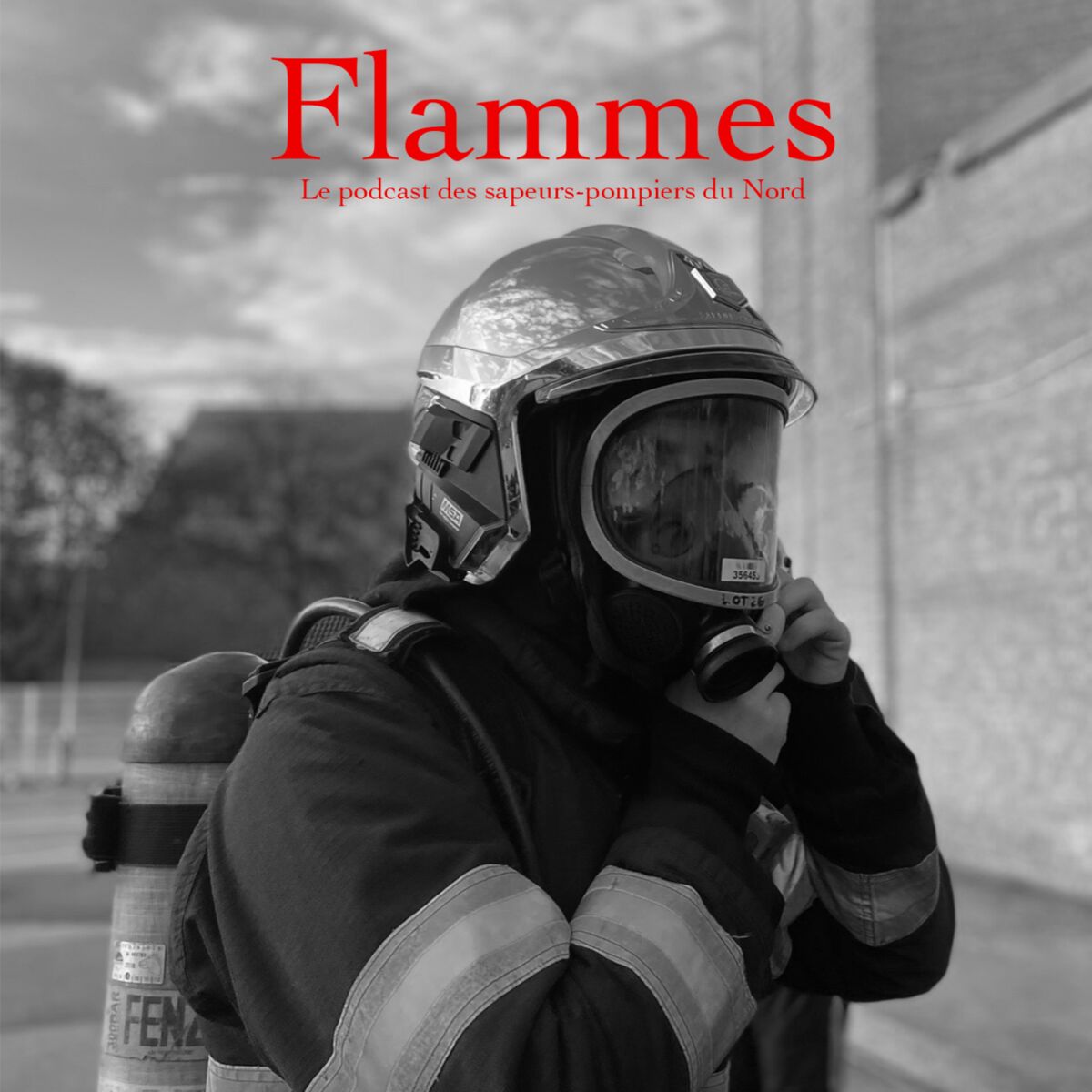Show cover of Flammes