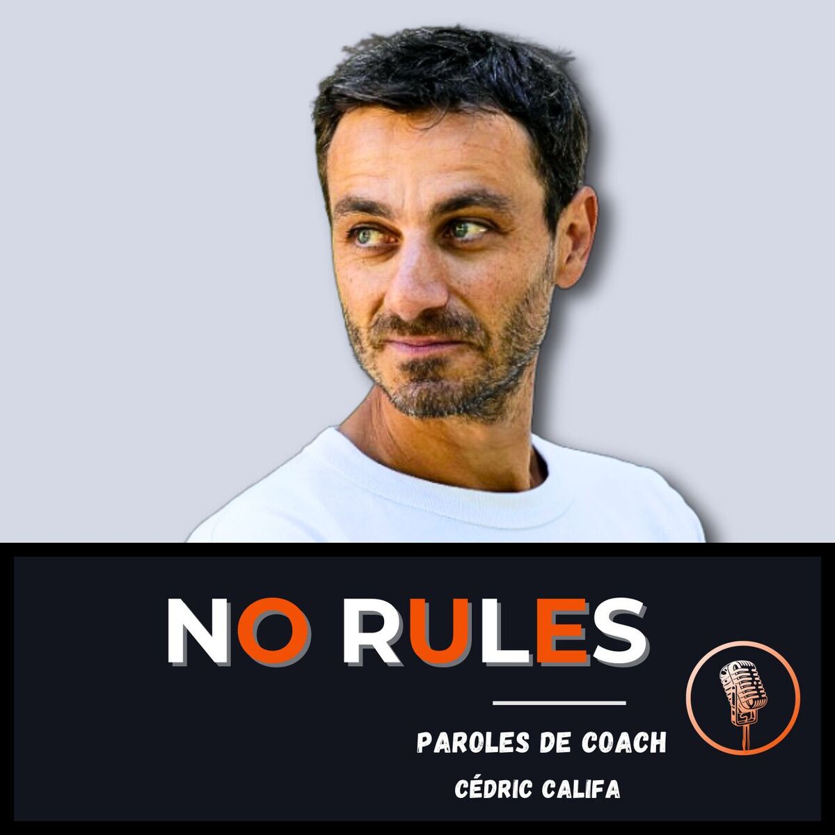 Show cover of No Rules : Paroles de coach