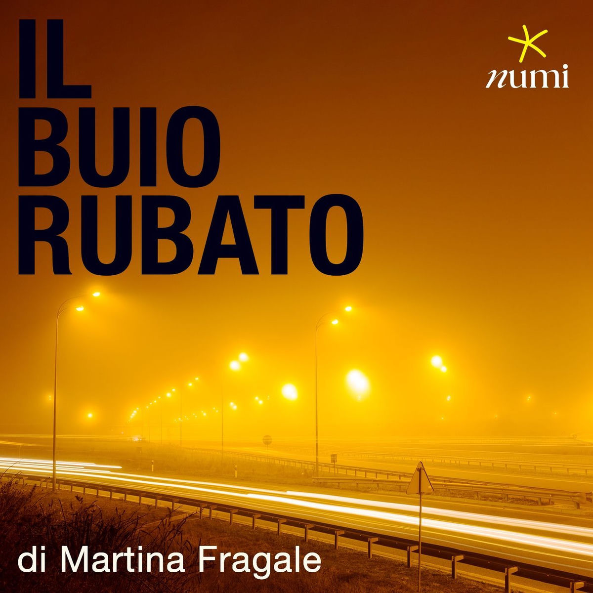 Show cover of Il buio rubato