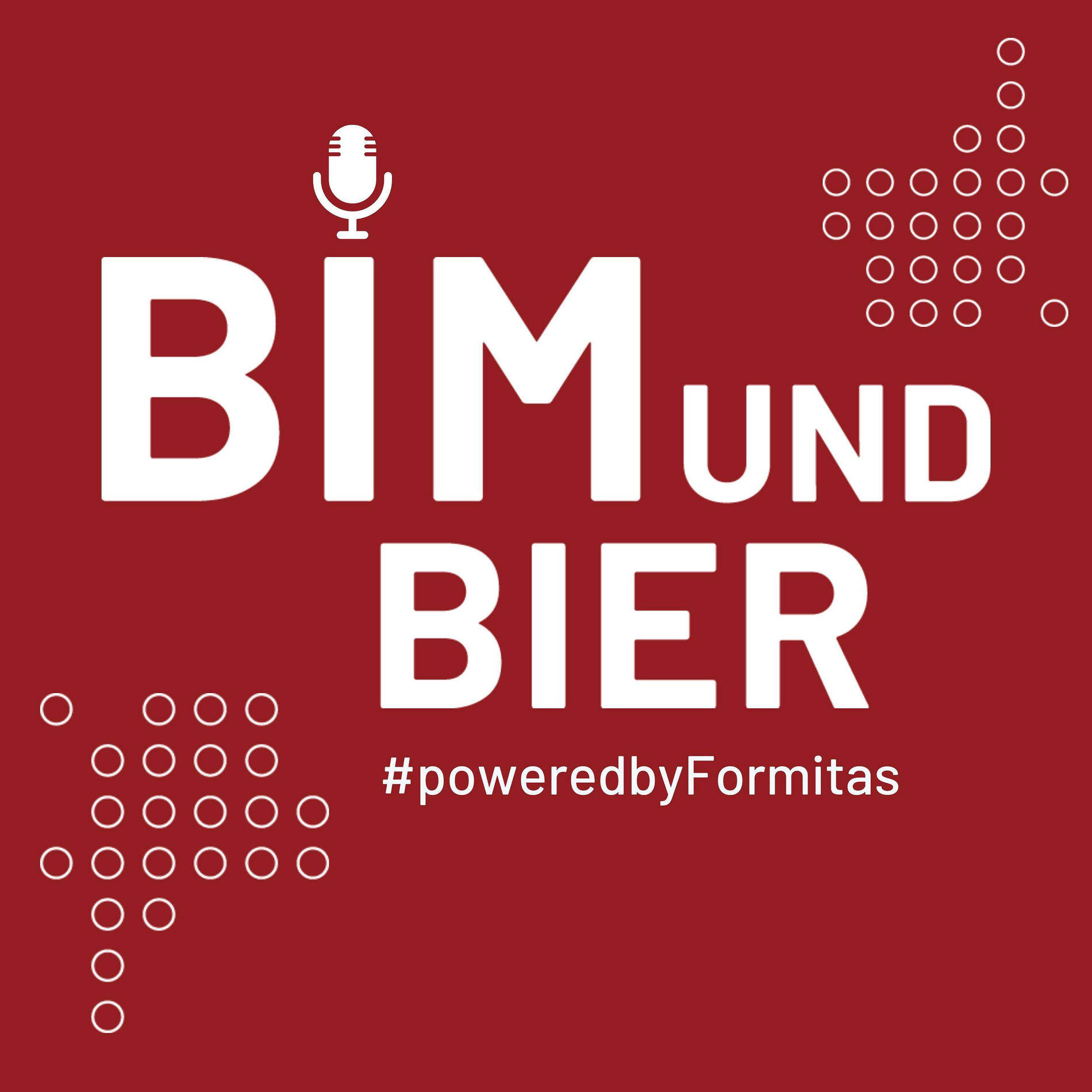 Show cover of BIM & Bier