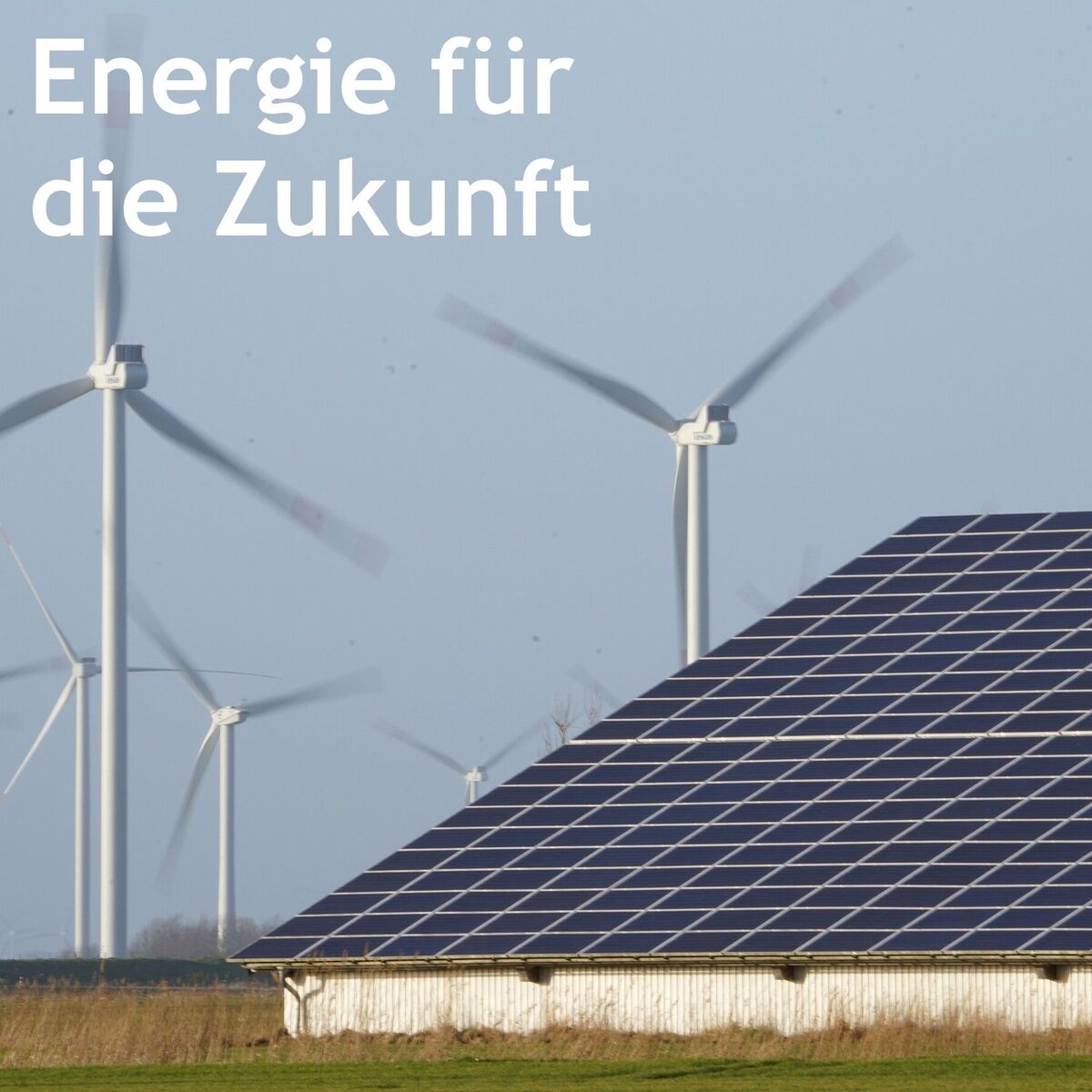 Show cover of Energie für die Zukunft - wie im Landkreis Barnim die Energiewende gestaltet wird