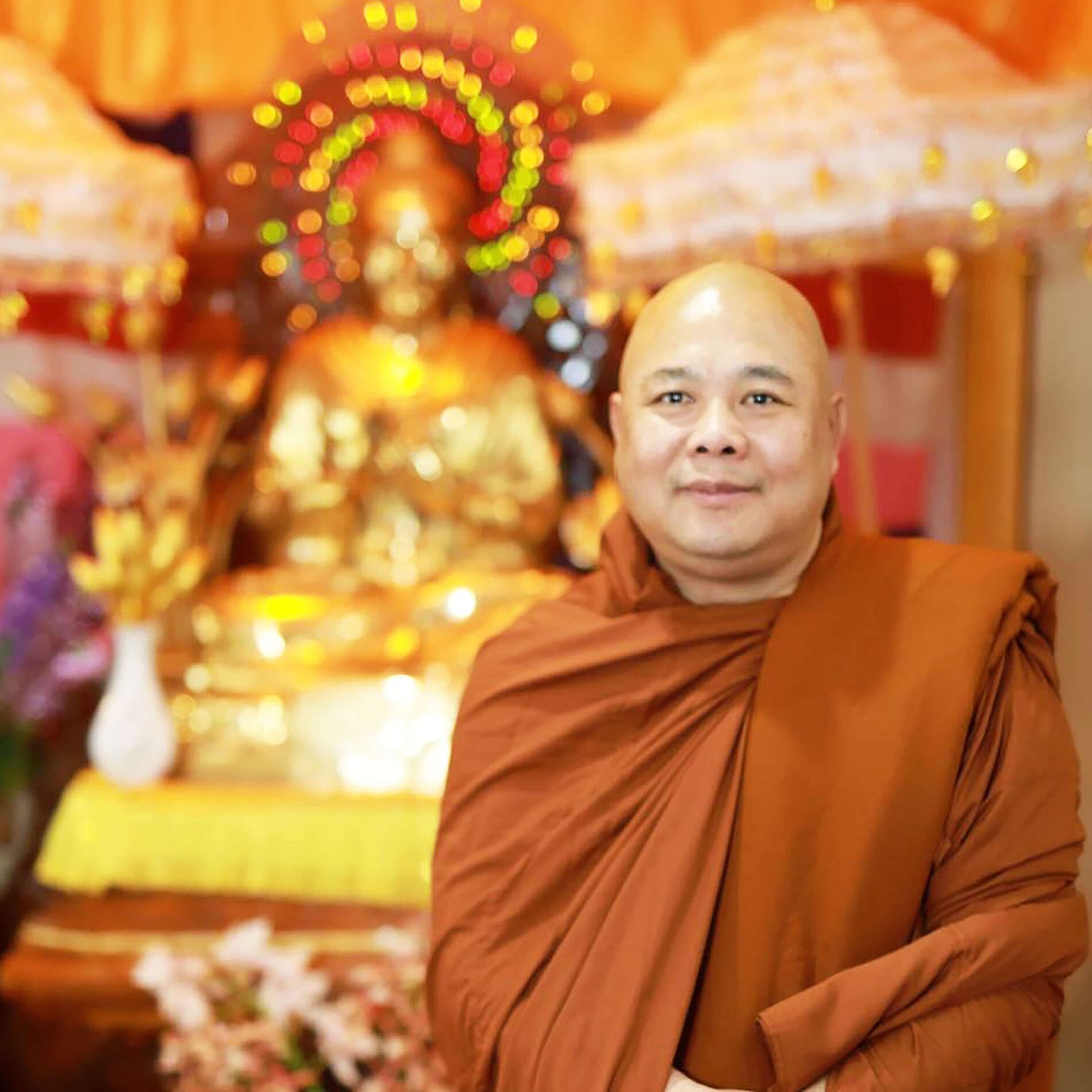 Show cover of Ashin Zanita (Mettadipa Sayadaw)