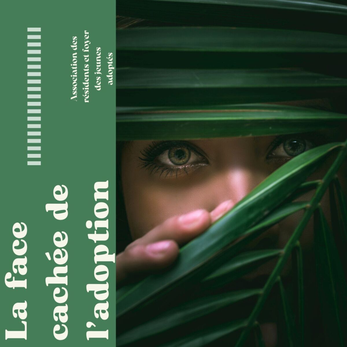 Show cover of La face cachée de l’adoption