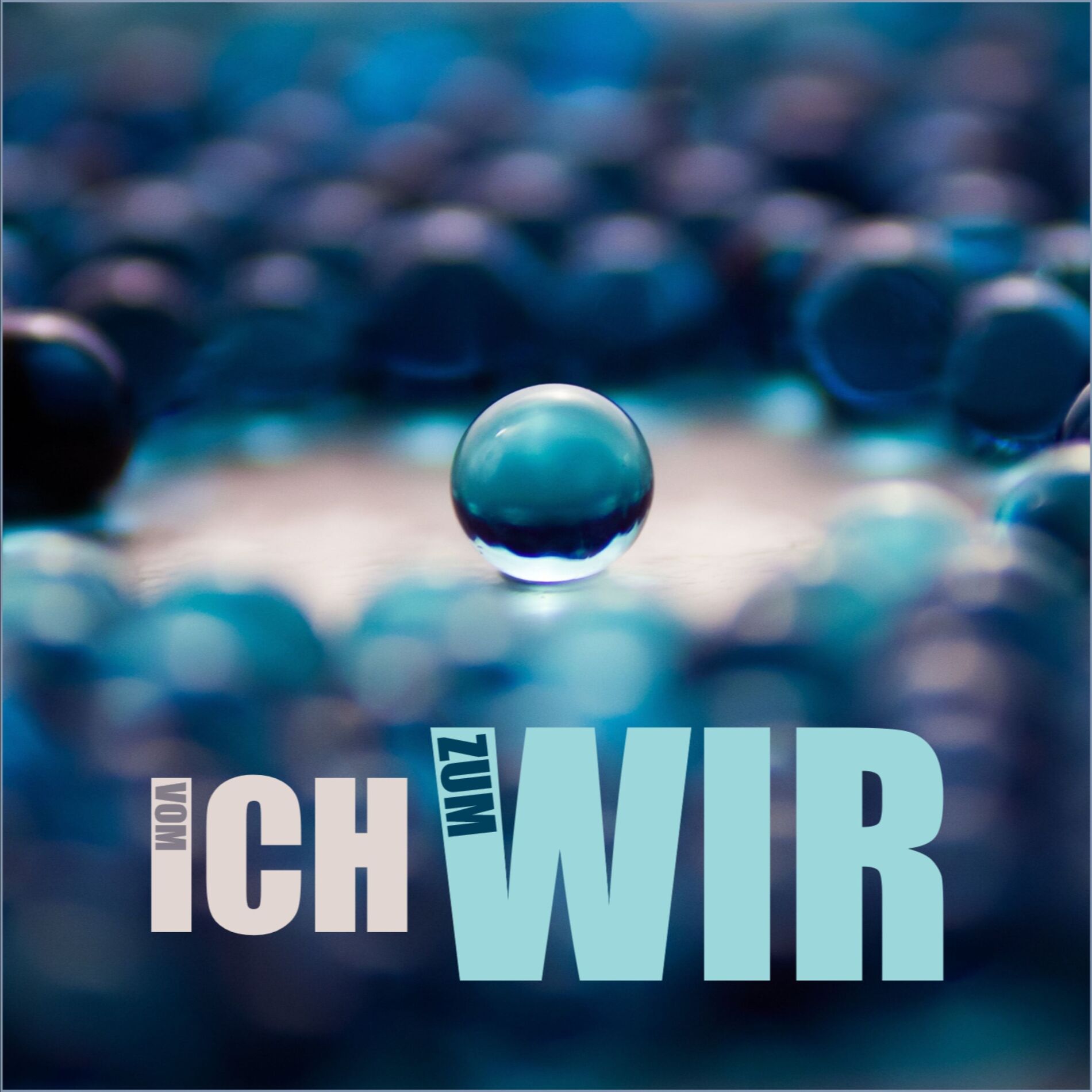 Show cover of Vom Ich zum Wir