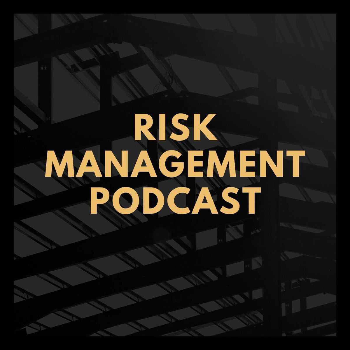 Show cover of Risk Management Podcast