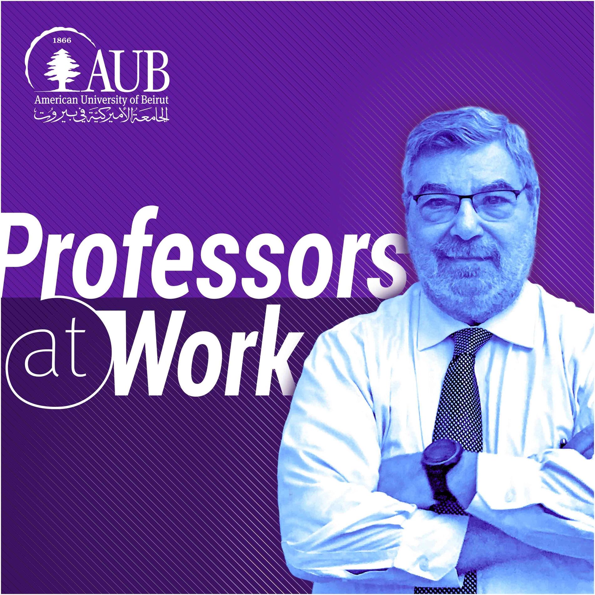 Show cover of Professors at Work