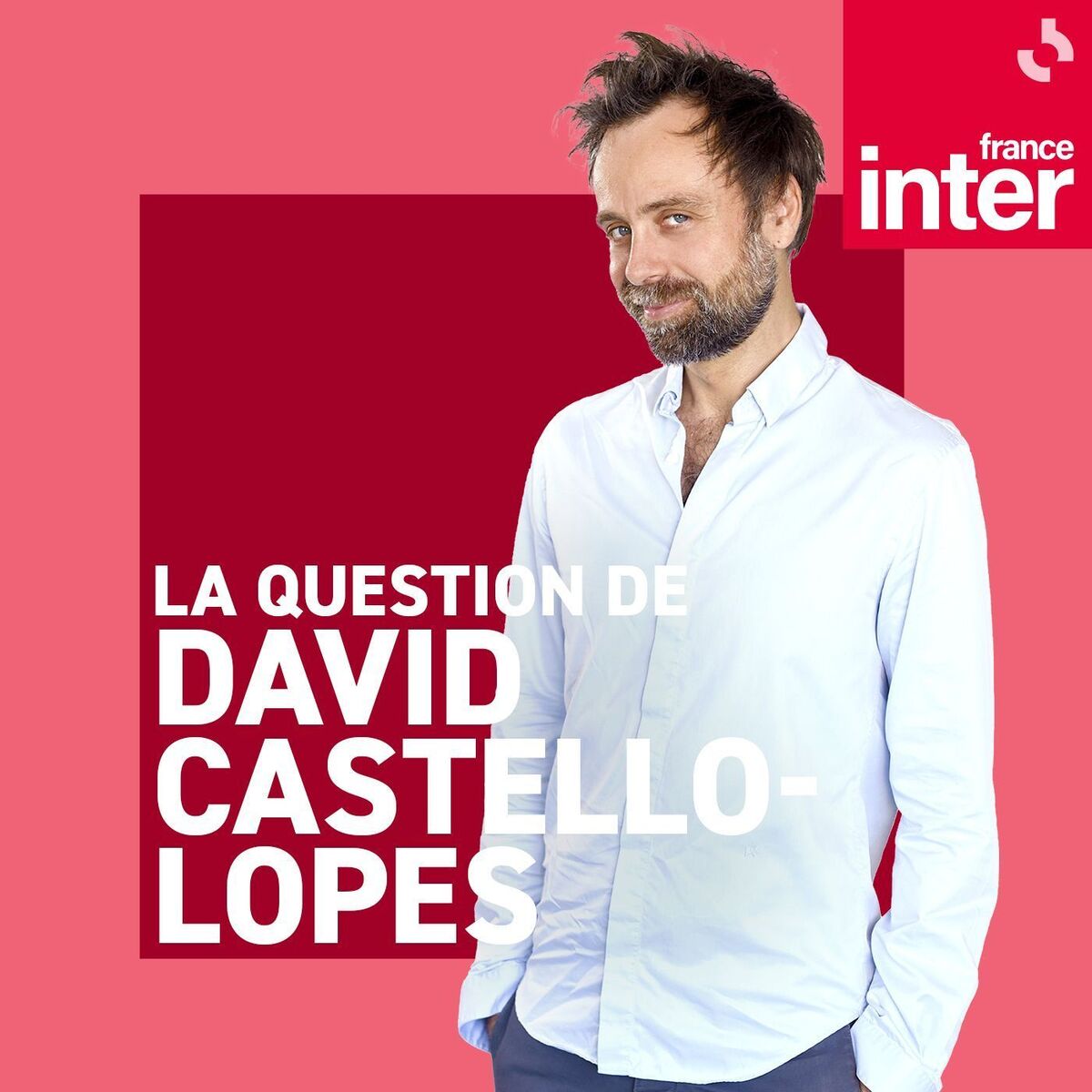 Show cover of La question de David Castello-Lopes