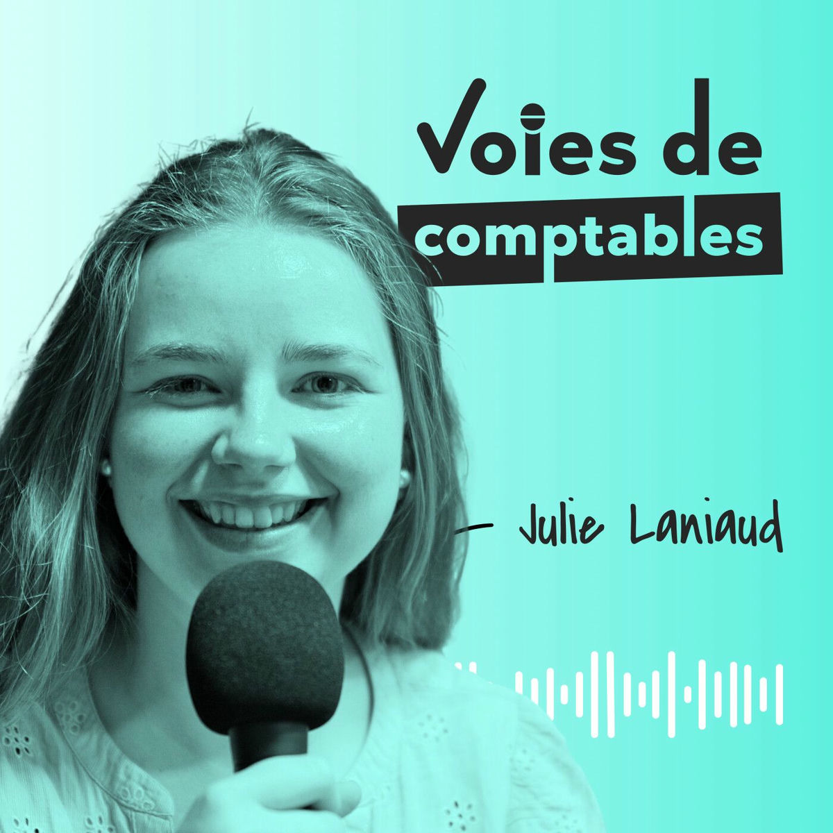 Show cover of Voies de comptables