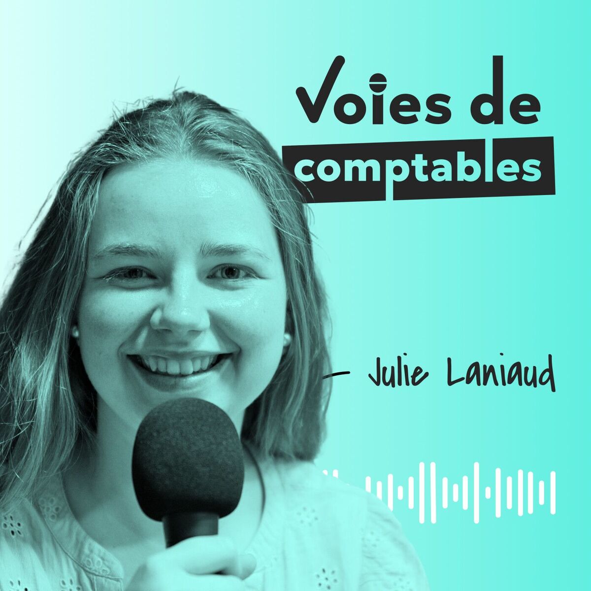 Show cover of Voies de comptables