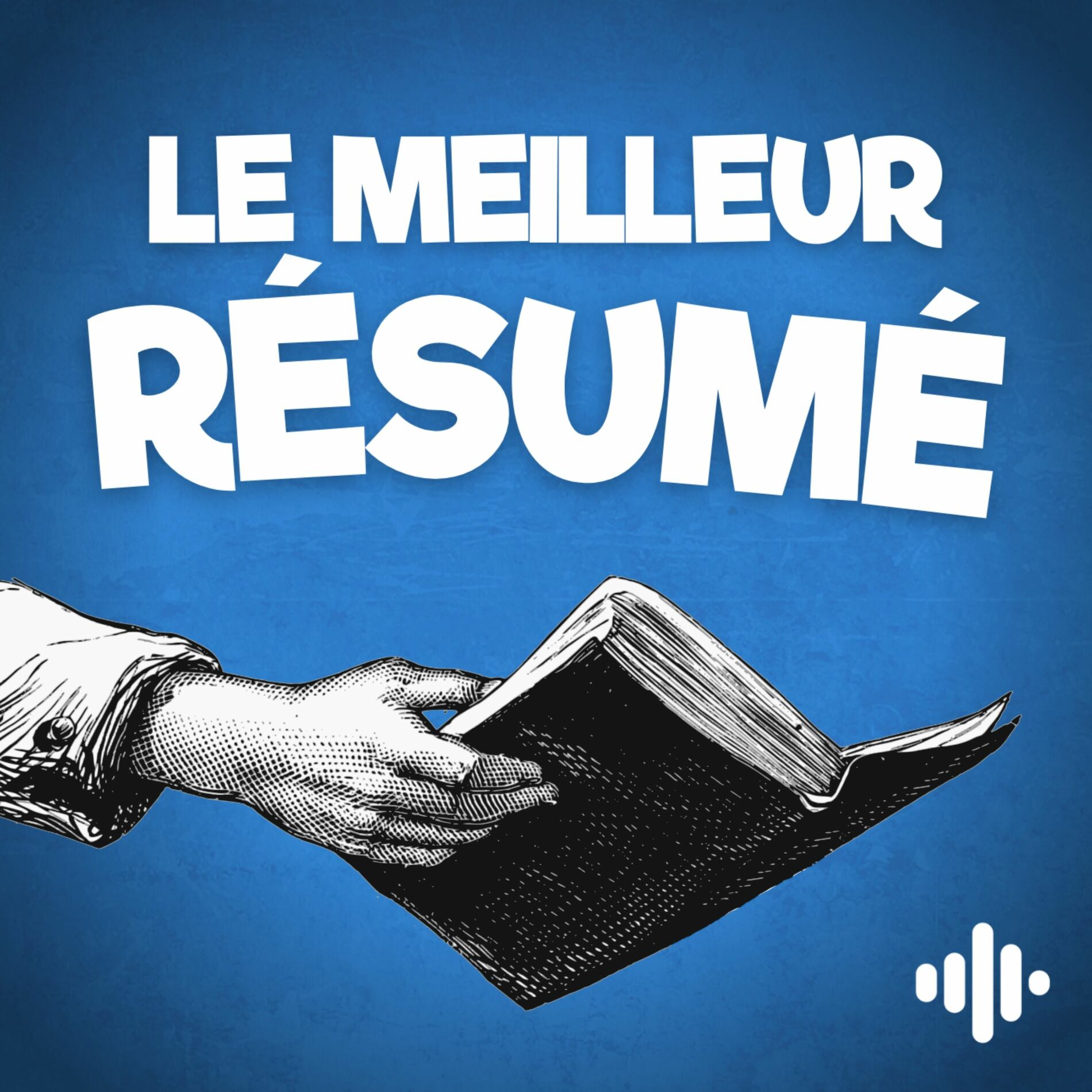 Show cover of Le Meilleur Résumé