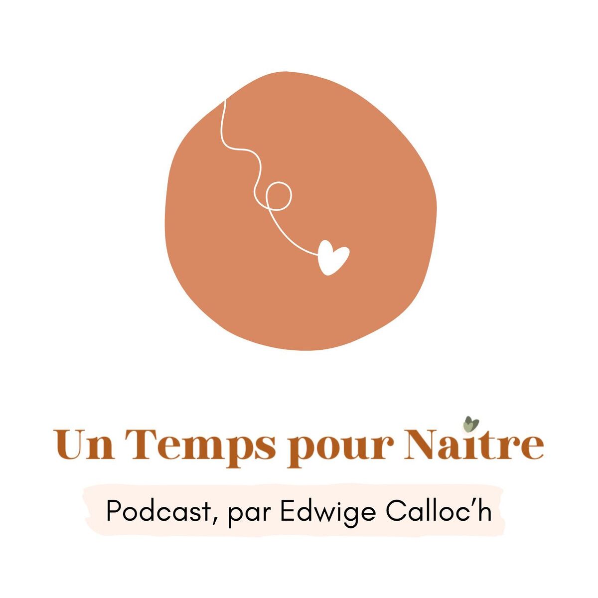Show cover of Un Temps pour Naître
