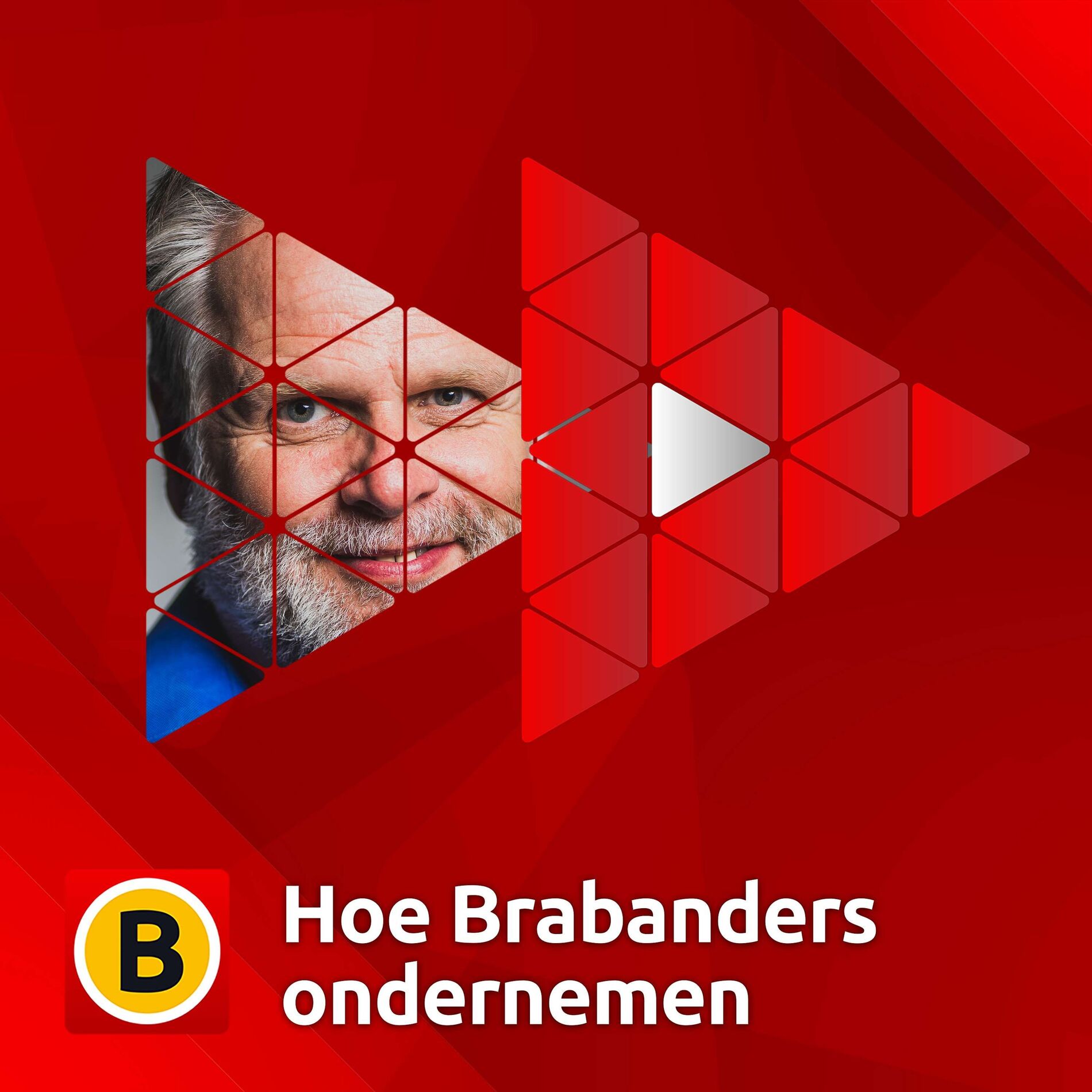 Show cover of Hoe Brabanders ondernemen