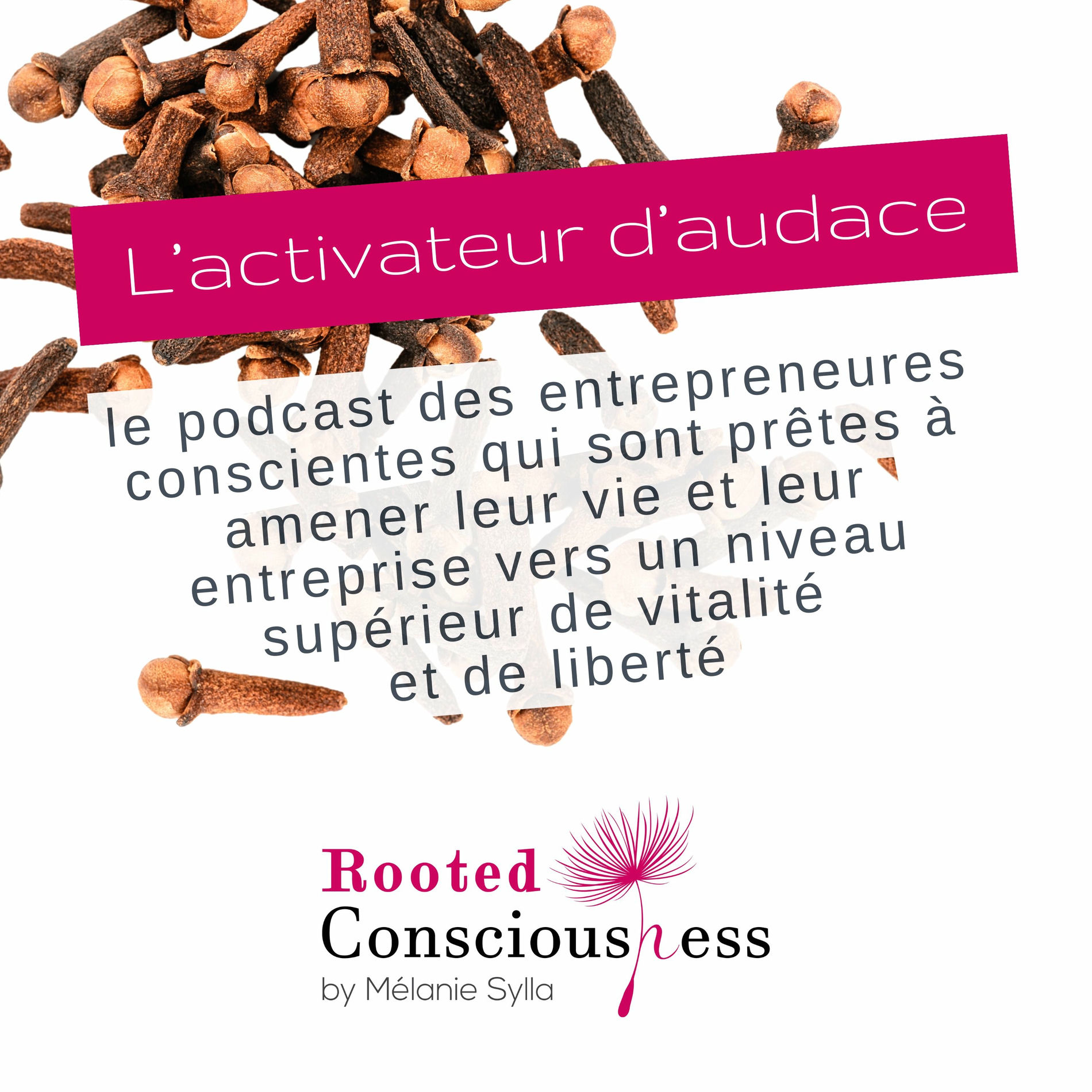 Show cover of L'Activateur d'audace, par Mélanie Sylla, fondatrice de Rooted Consciousness