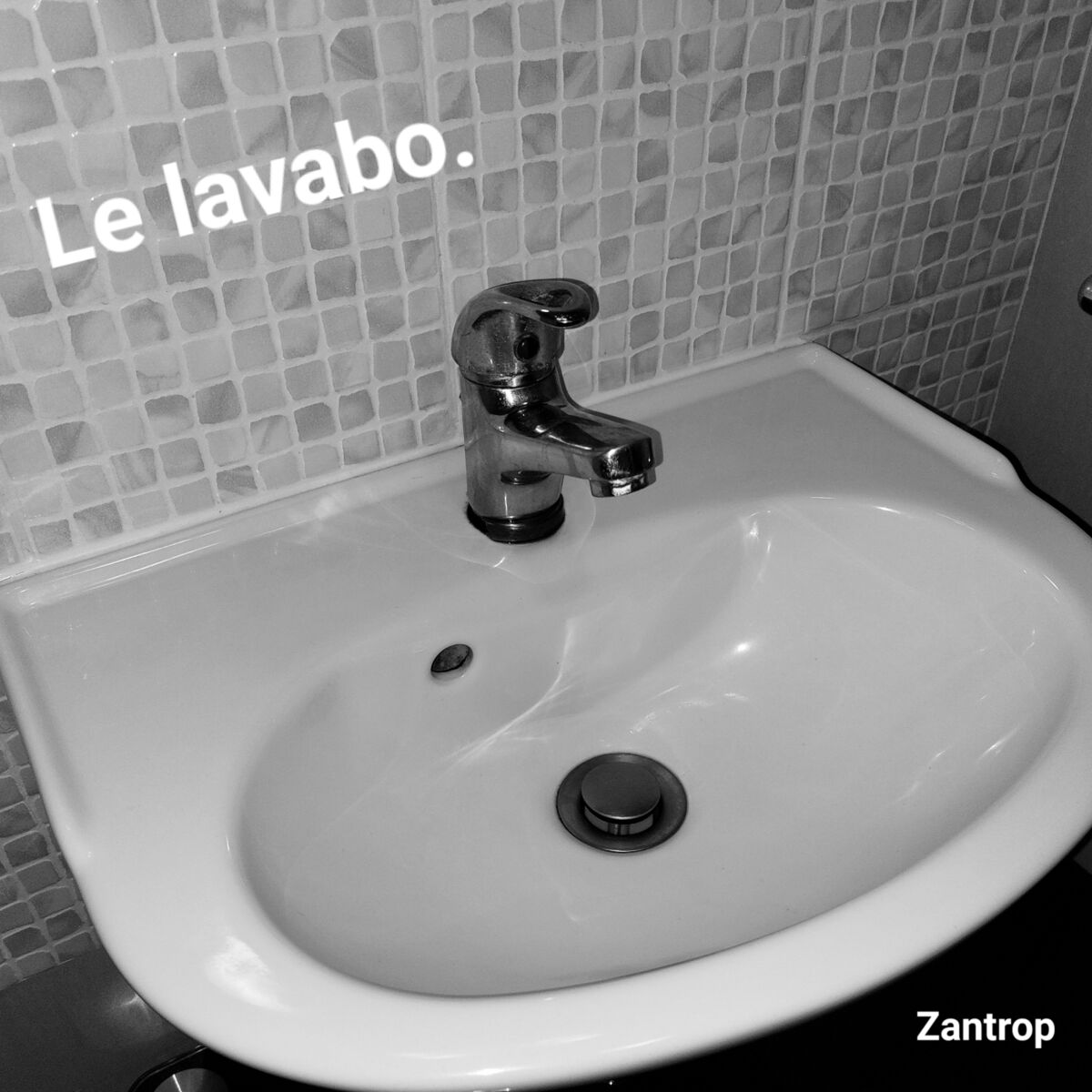 Show cover of le lavabo.