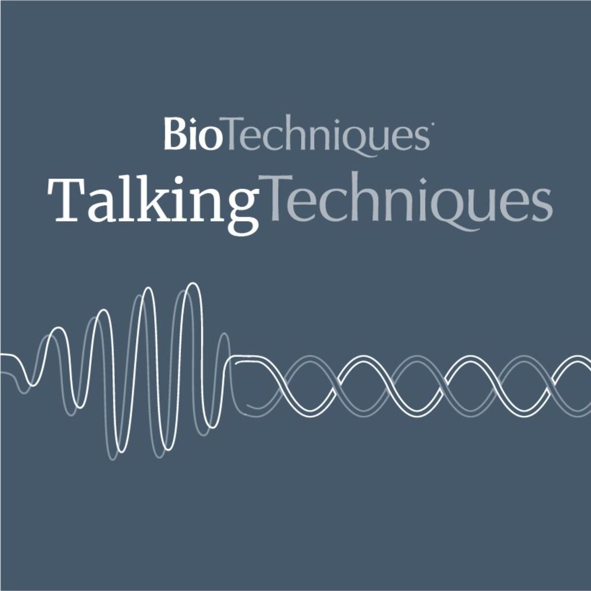 Show cover of Talking Techniques