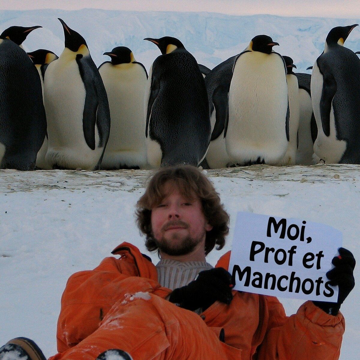 Show cover of Moi, Prof et Manchots