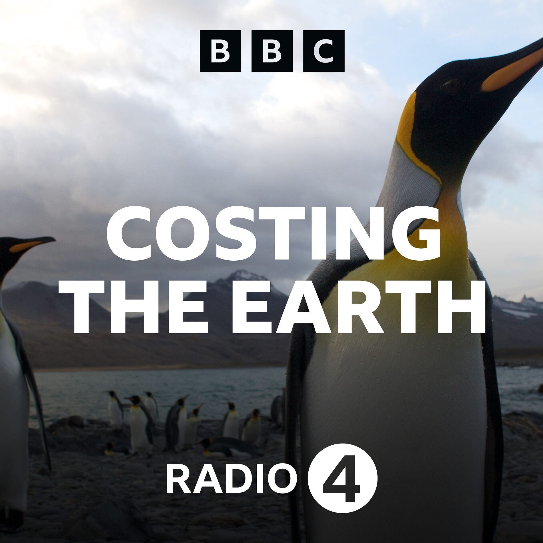 Show cover of Costing the Earth