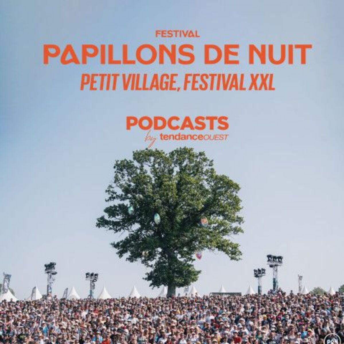 Show cover of Papillons de nuit : petit village, festival XXL