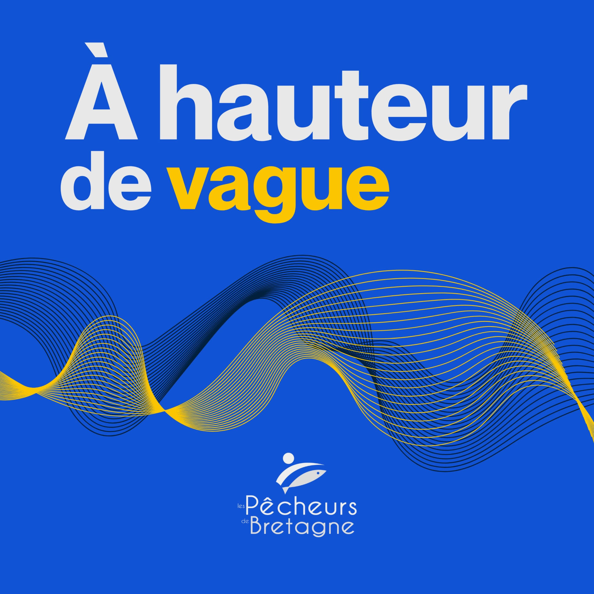 Show cover of À hauteur de vague