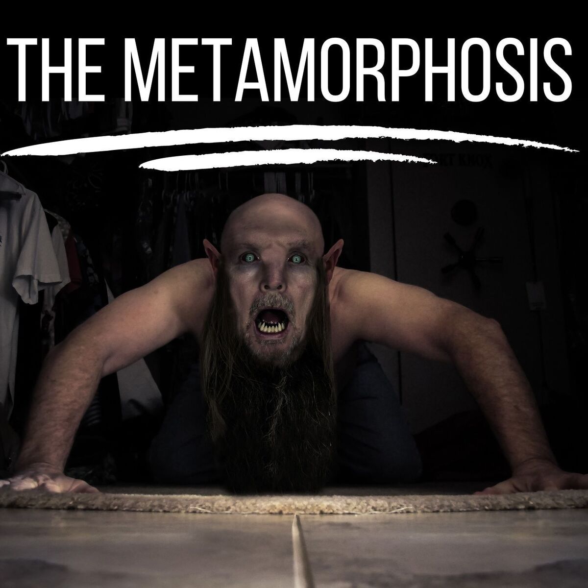 Show cover of The Metamorphosis