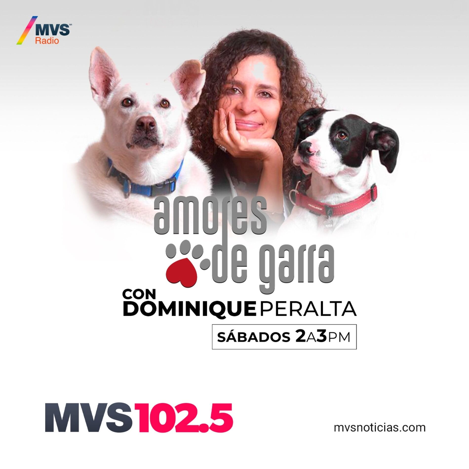 Show cover of Amores de garra