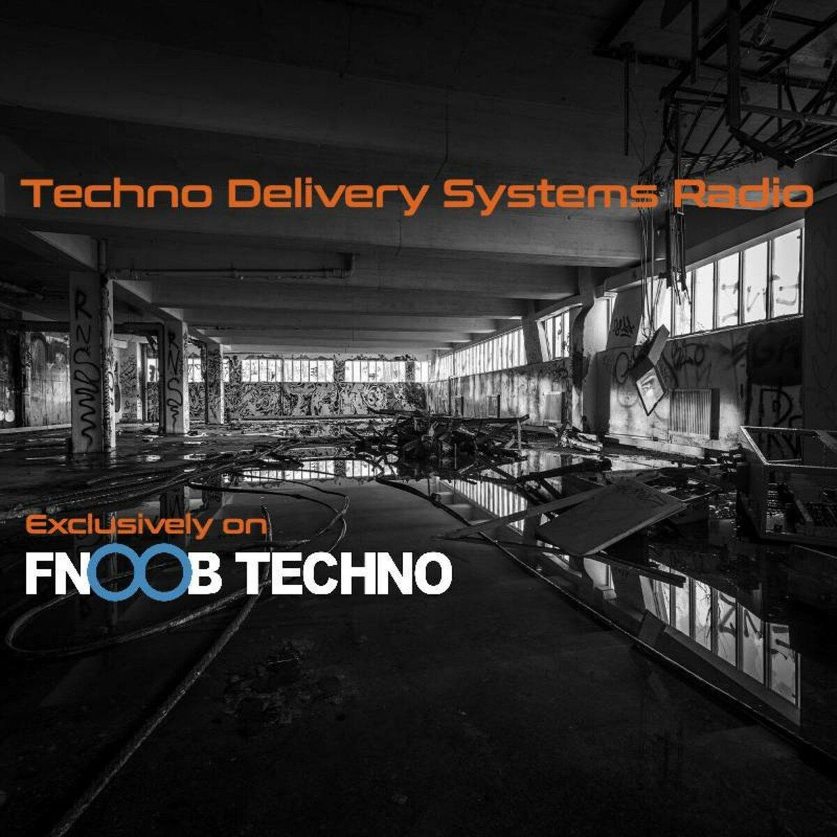 Show cover of Techno Delivery Systems Radio