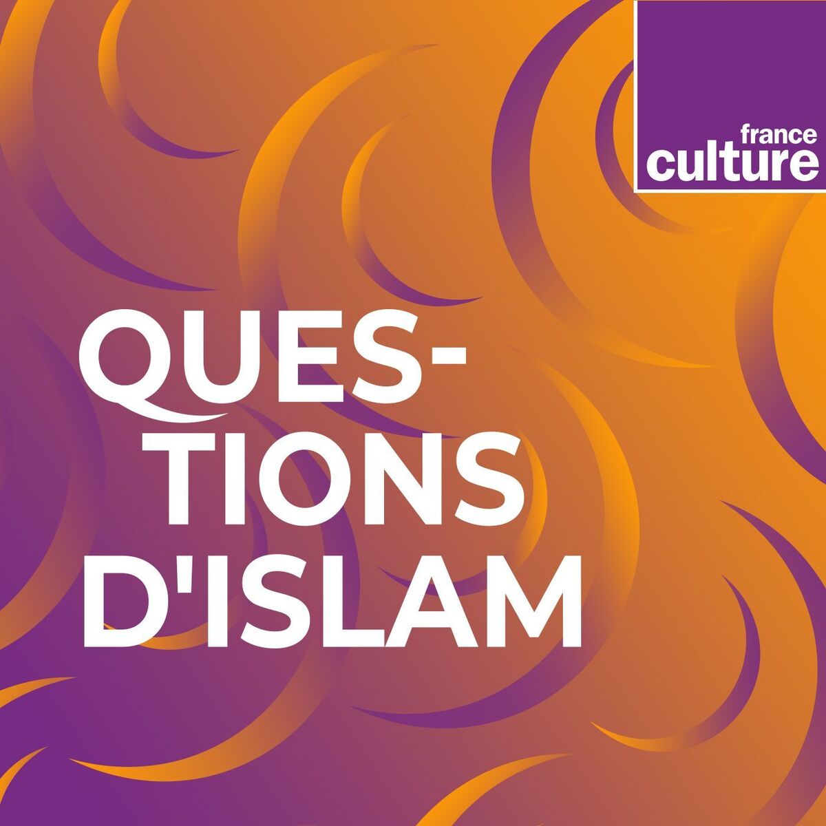 Show cover of Questions d'islam