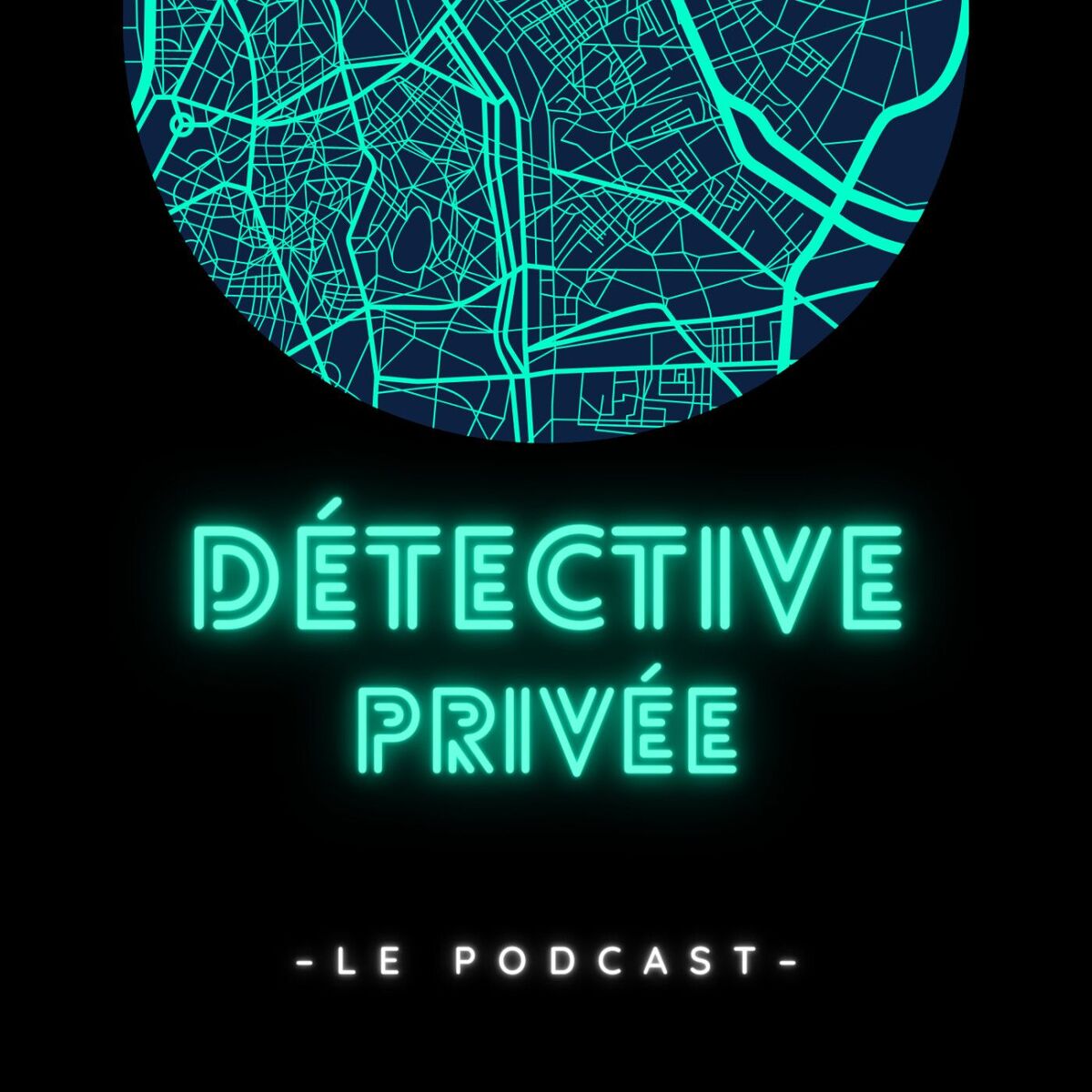 Show cover of Détective privée