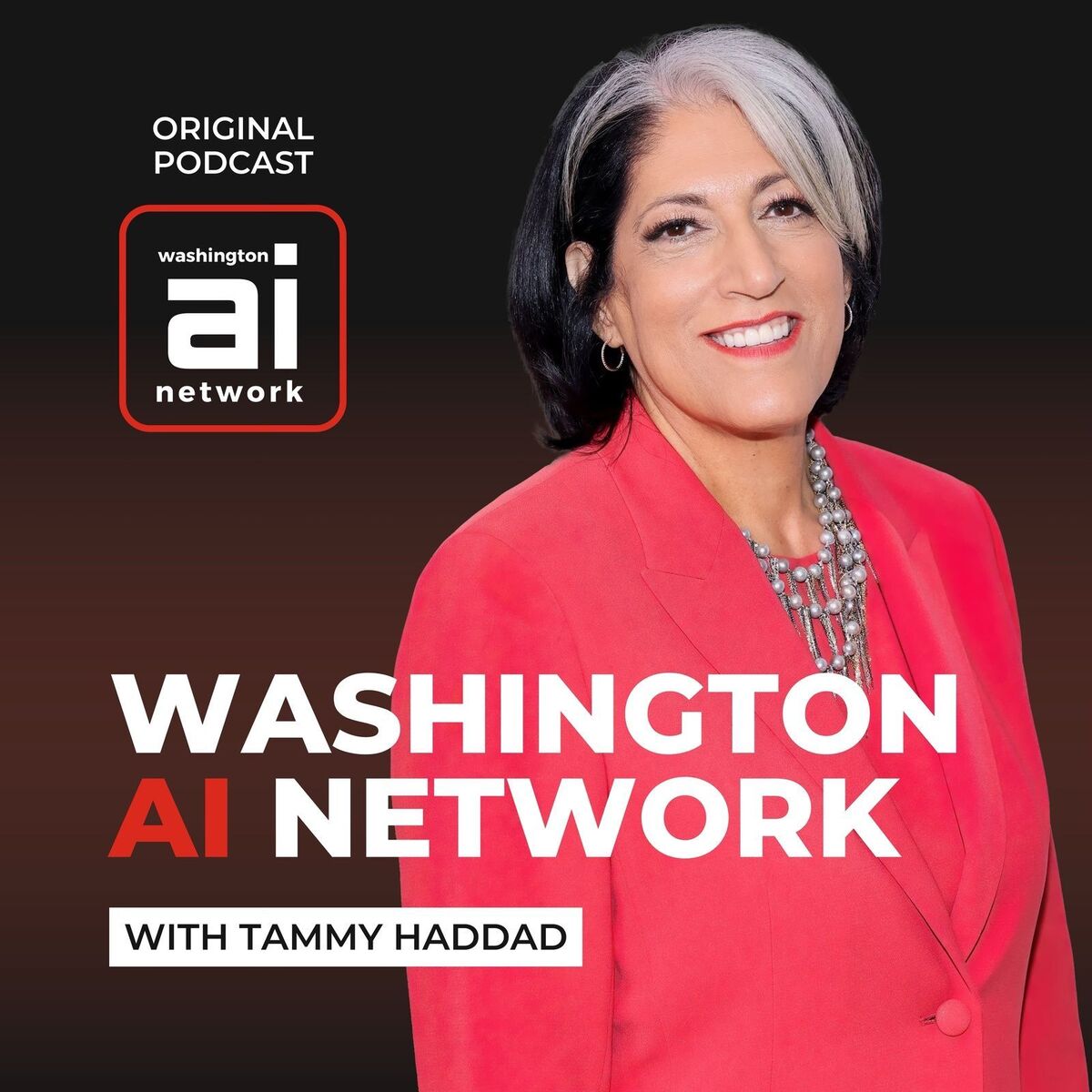 Show cover of Washington AI Network with Tammy Haddad