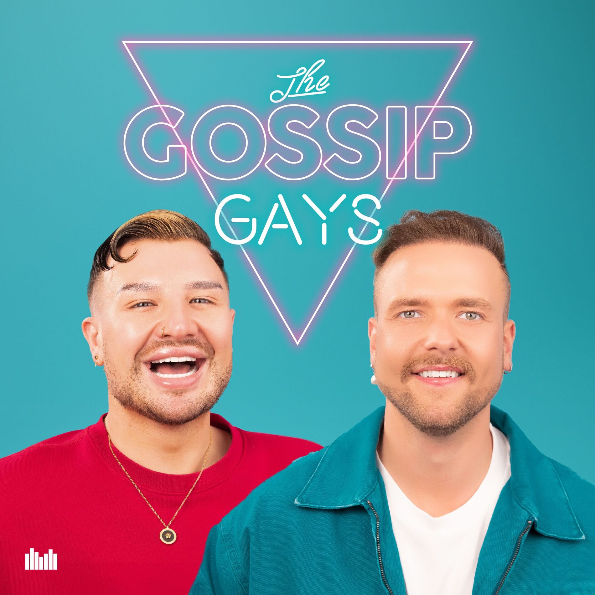 Show cover of The Gossip Gays