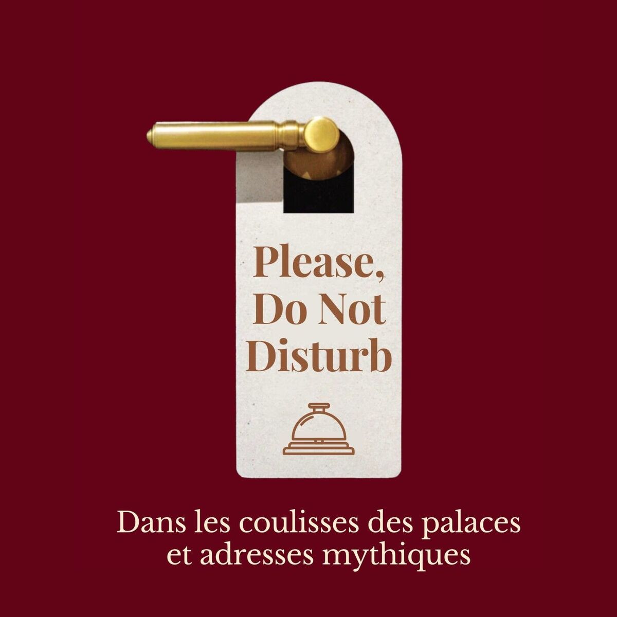 Show cover of Please, Do Not Disturb