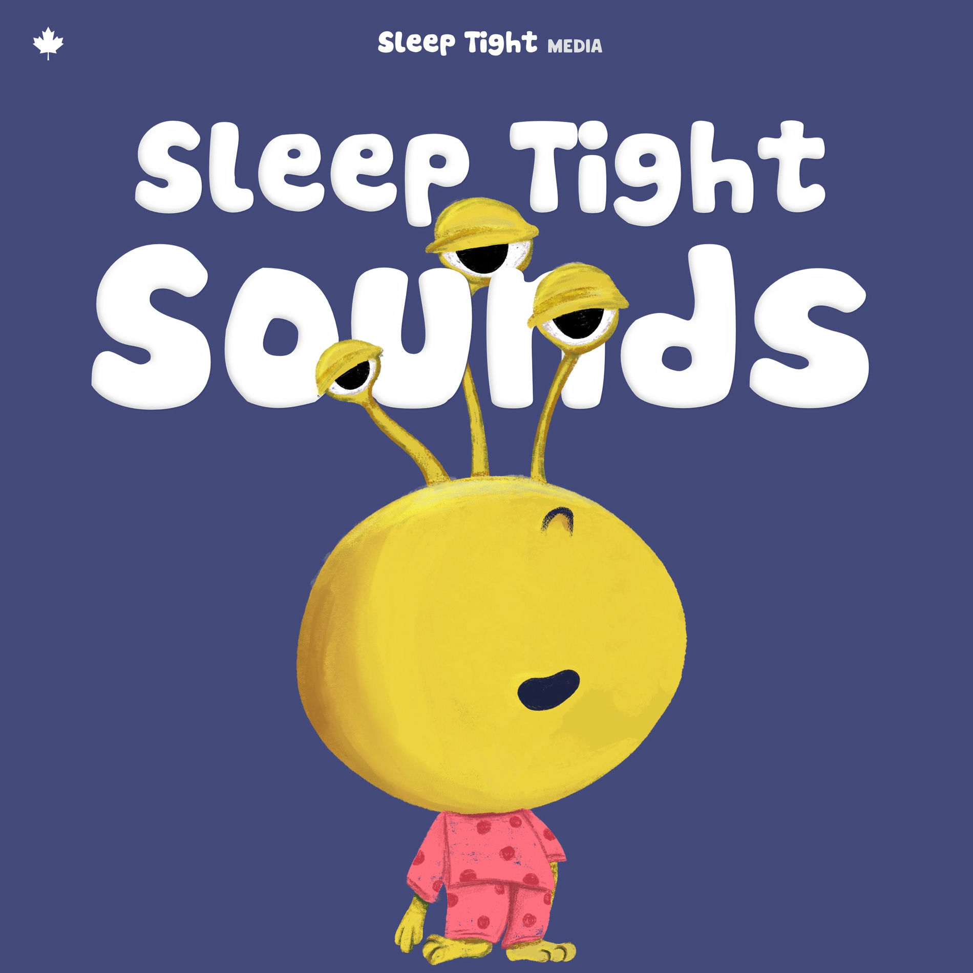 Show cover of Sleep Tight Sounds - Calming Soundtracks for Kids