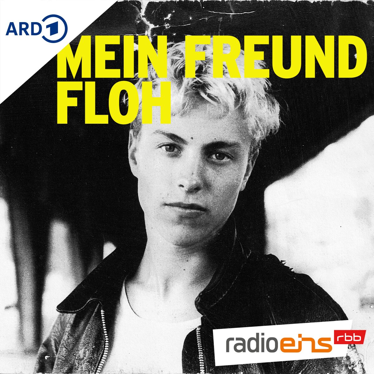 Show cover of Mein Freund Floh