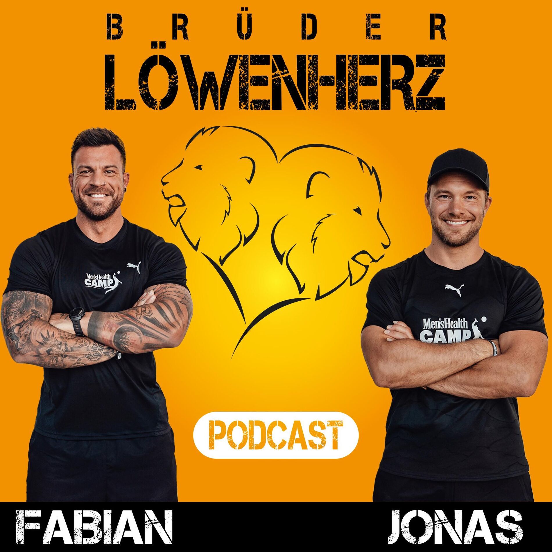 Show cover of Brüder Löwenherz