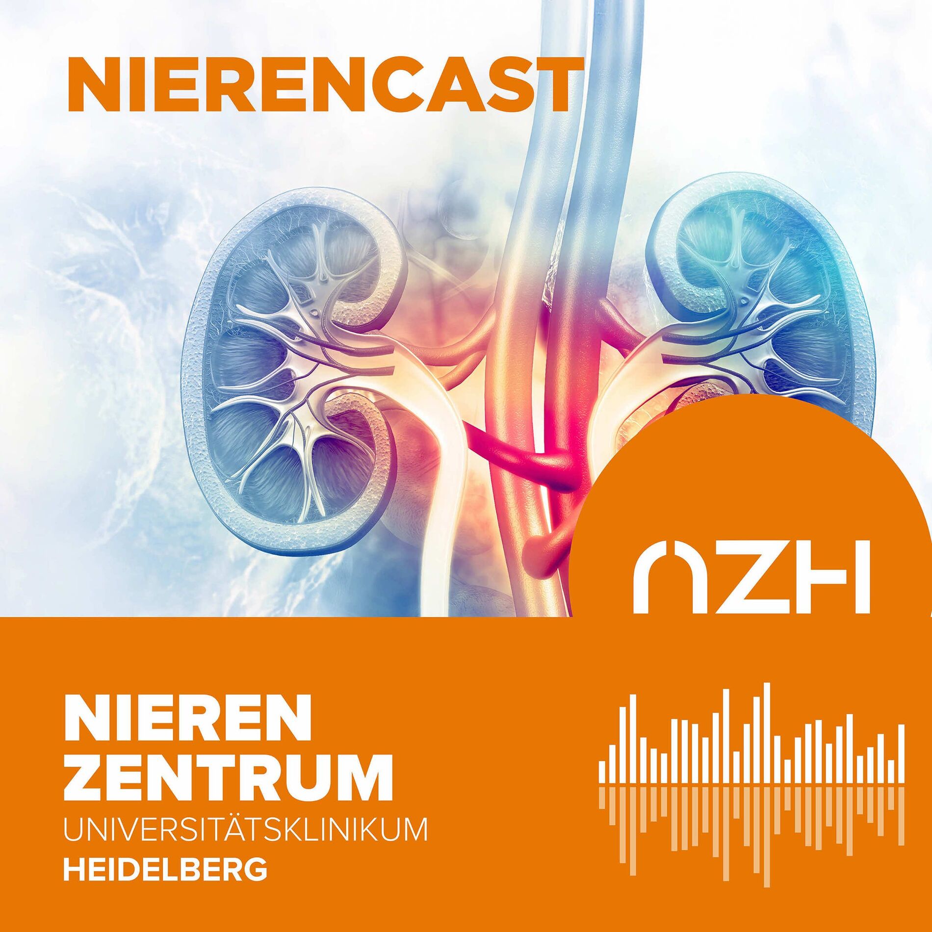 Show cover of Nieren Cast Nierenzentrum Heidelberg
