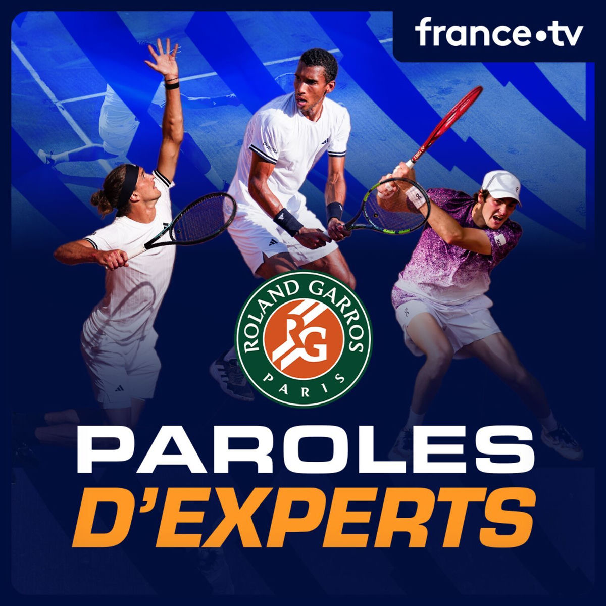 Show cover of Paroles d'experts