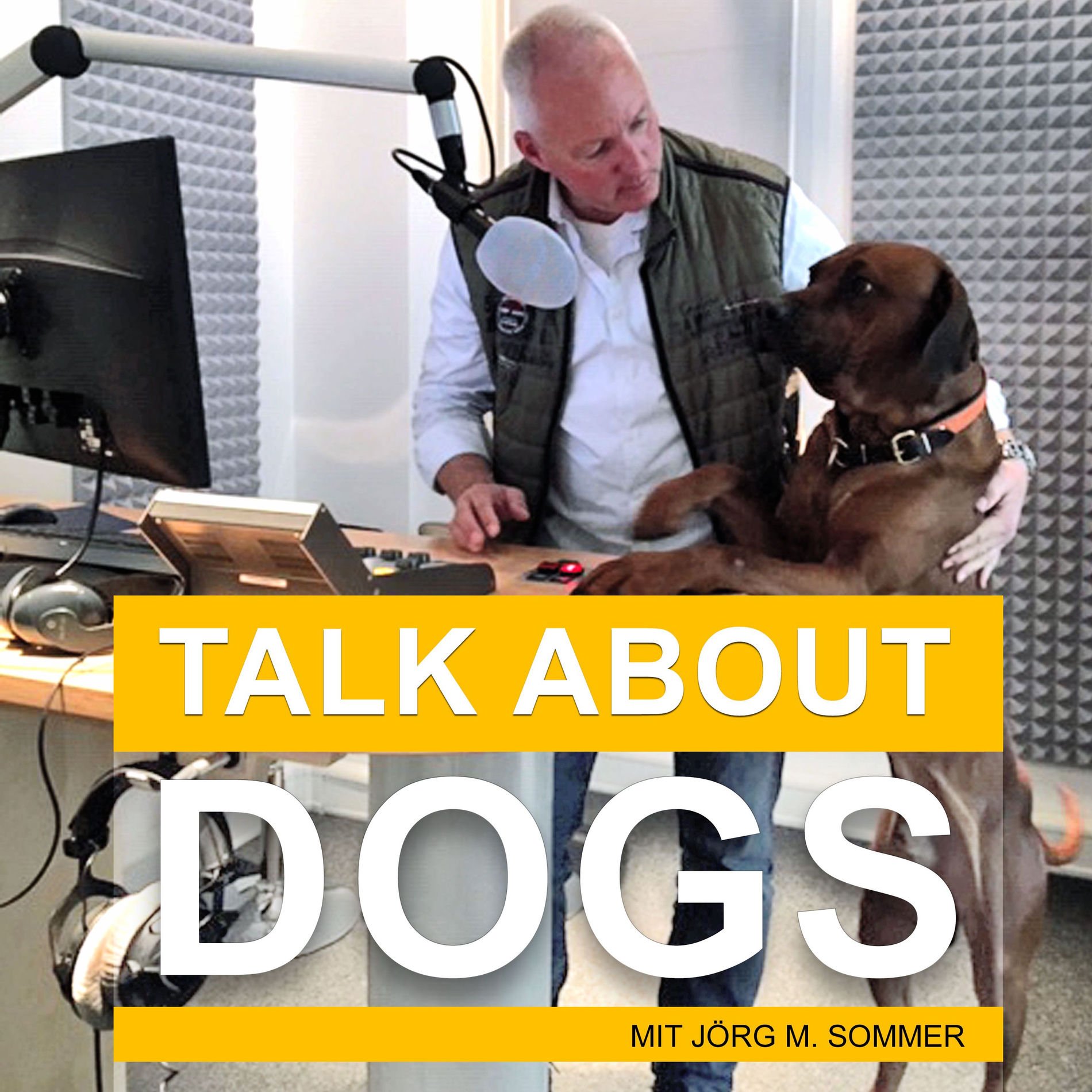 Show cover of TALK ABOUT DOGS