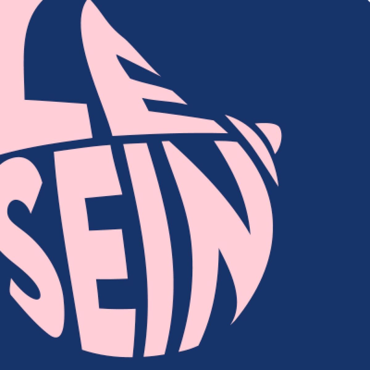 Show cover of Le Sein Podcast