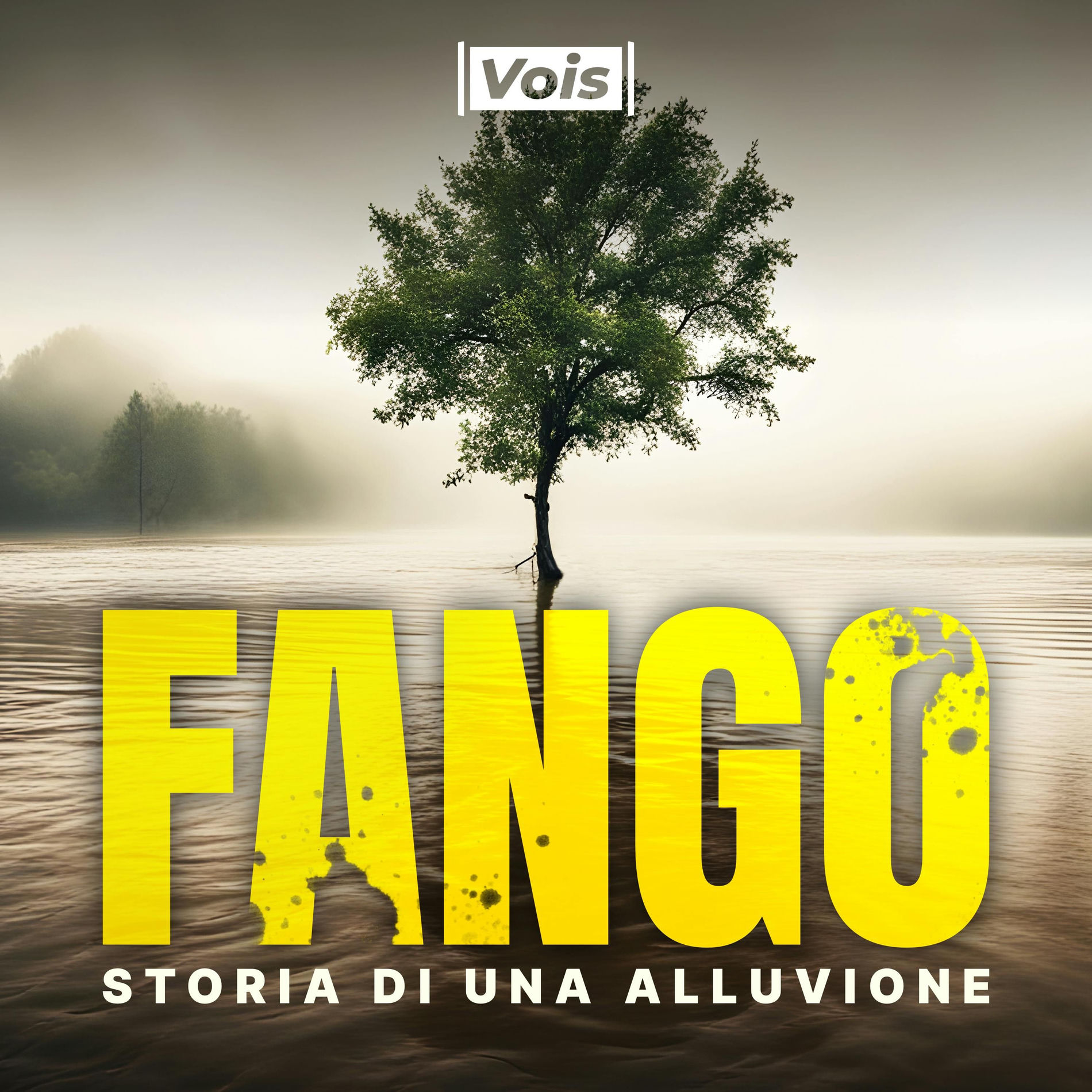 Show cover of Fango - Storia di una Alluvione