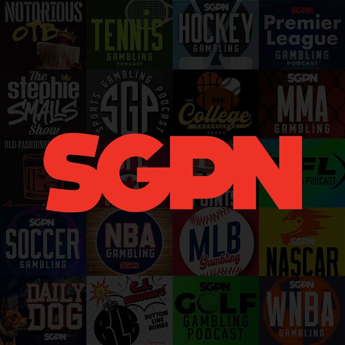 Show cover of Sports Gambling Podcast Network
