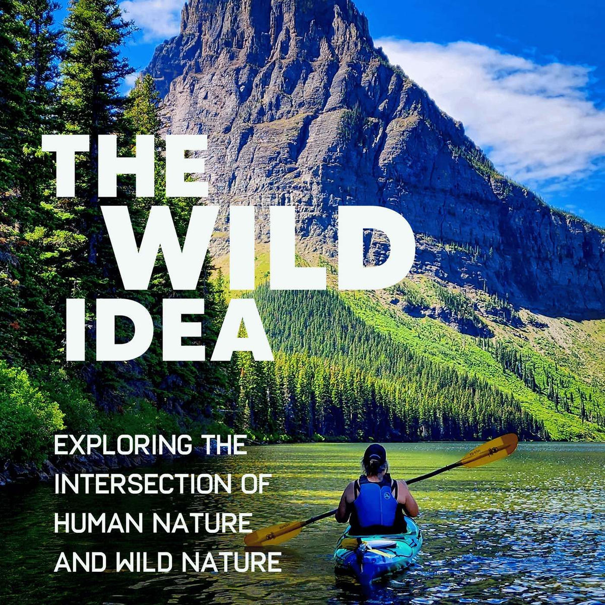 Show cover of The Wild Idea