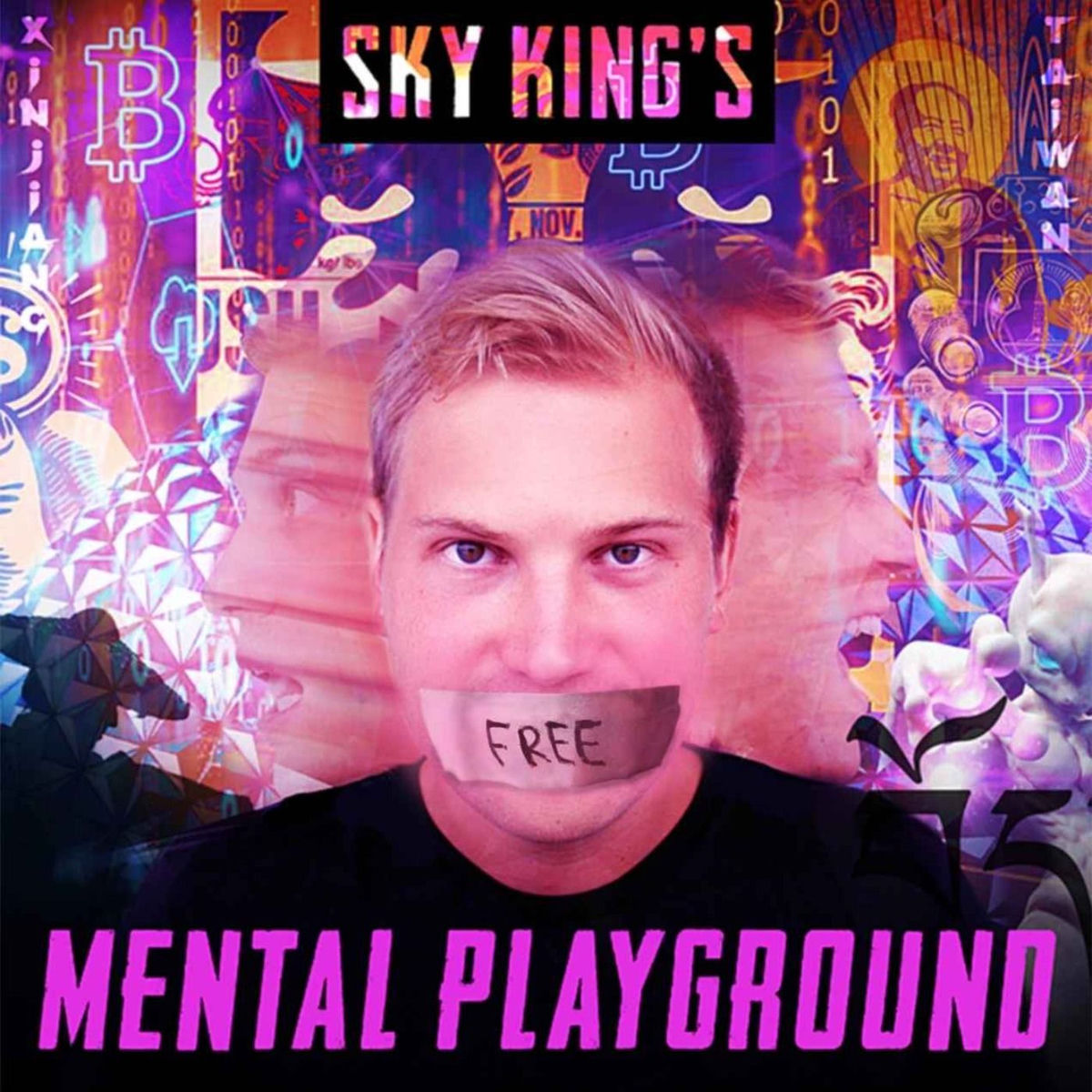 Show cover of Sky King's Mental Playground