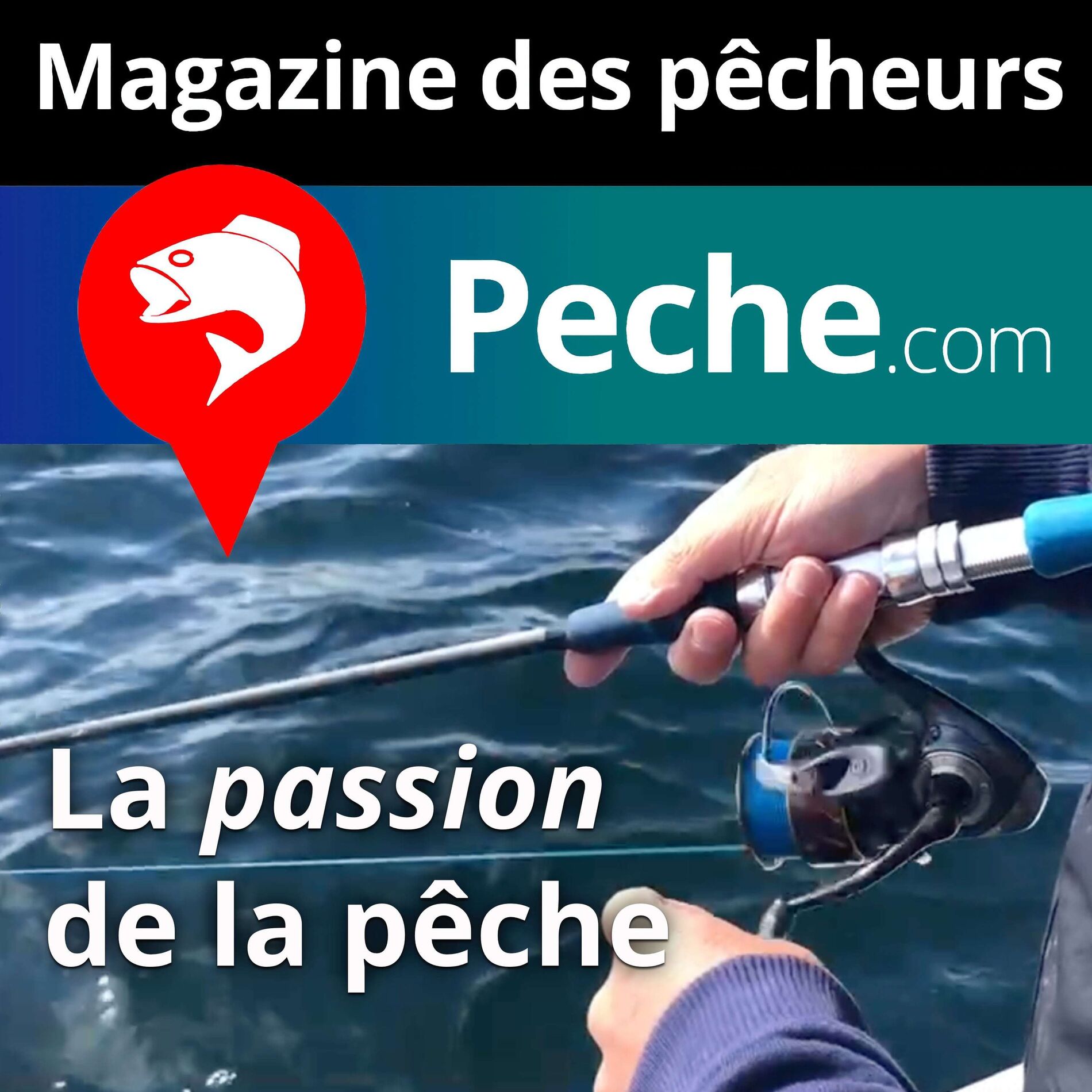 Show cover of Tout Peche.com